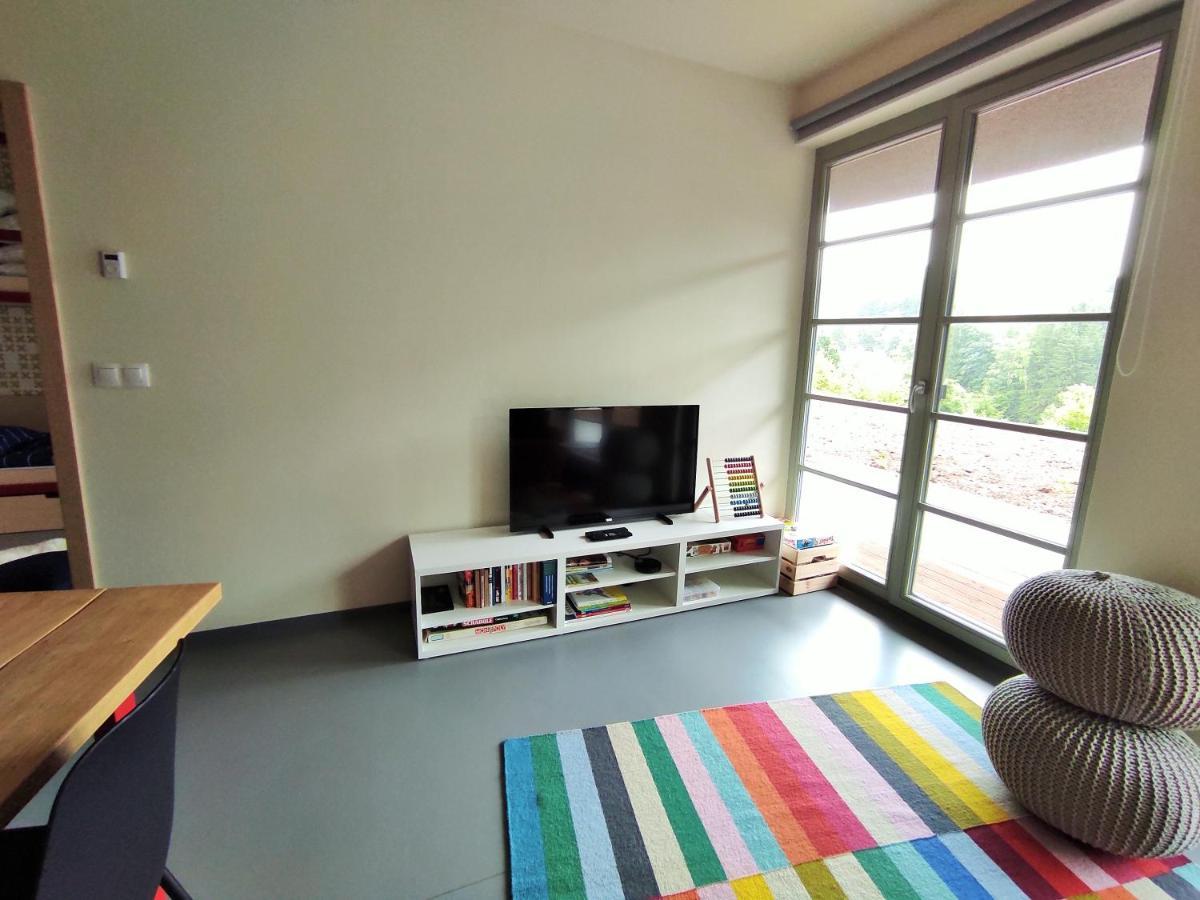Apartment Svan B2 Ricky (Hradec Kralove)